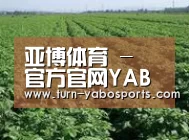 种植基地五(图1)