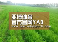 种植基地四