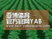 种植基地六(图1)