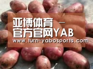 产品展示标题5(图1)
