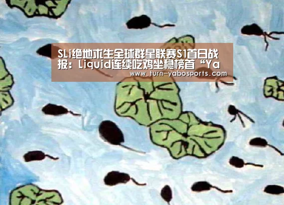 SLi绝地求生全球群星联赛S1首日战报:Liquid连续吃鸡坐稳榜首“Yabo亚博官方网站”(图1) 亚博体育