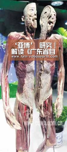 Yabo亚博官方网站