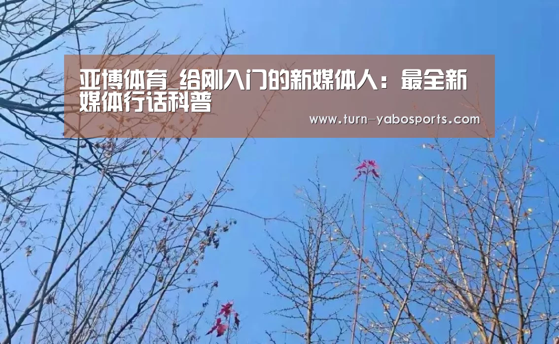亚博体育_给刚入门的新媒体人:最全新媒体行话科普(图4) 亚博