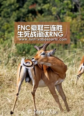 亚博体育
